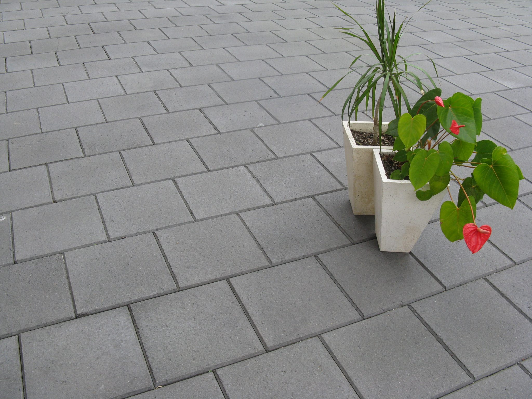 300x300x40mm_charcoal_paver_in_an_outdoor_setting_with_pot_plants